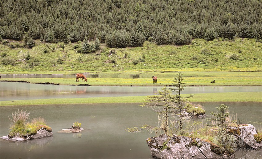 去甘孜 邂逅絕美湖泊海子！