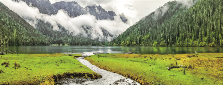 九龍風(fēng)光如詩如畫