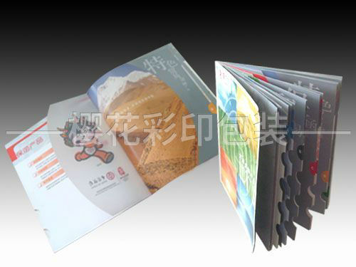 畫冊(cè)樣本