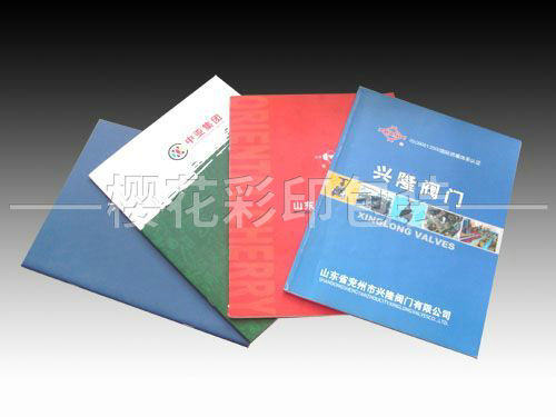 畫冊(cè)樣本