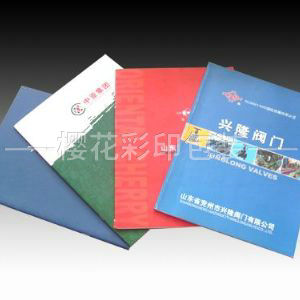 畫冊(cè)樣本